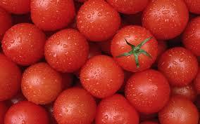 potency for tomatoes